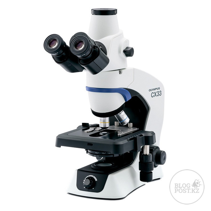 Как Olympus CX33 повышает точность лабораторных исследований